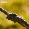 PC1_Bild177.jpg